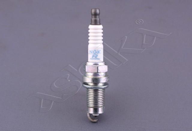 100055/PZFR5D-11~VL34_1.jpg