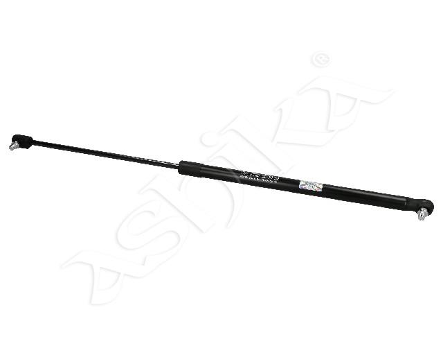 219/ZS00043_1.jpg