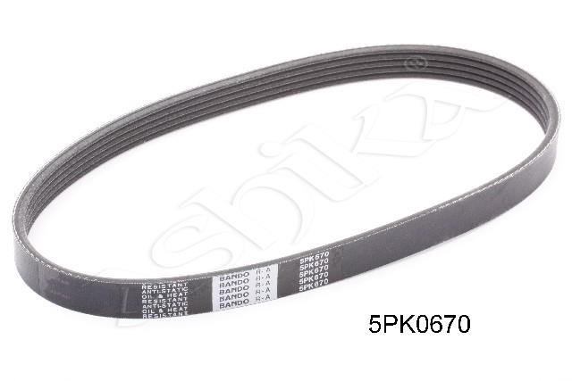 305/DV-5PK0670_1.jpg