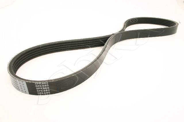 305/DV-5PK0885_1.jpg