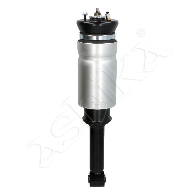 3534/MM-AS021_1.jpg