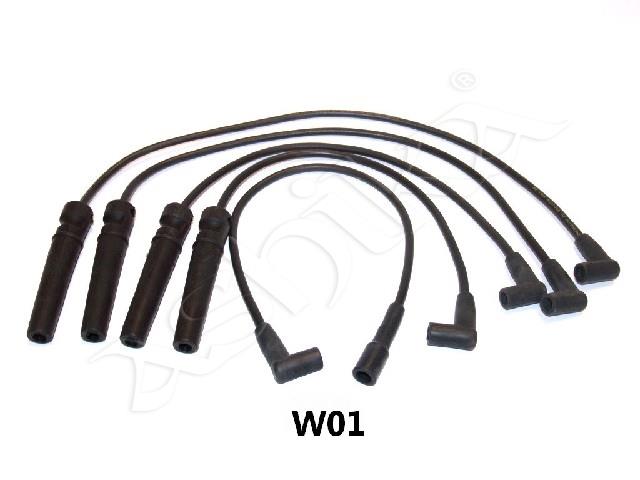 685/IC-W01_1.jpg
