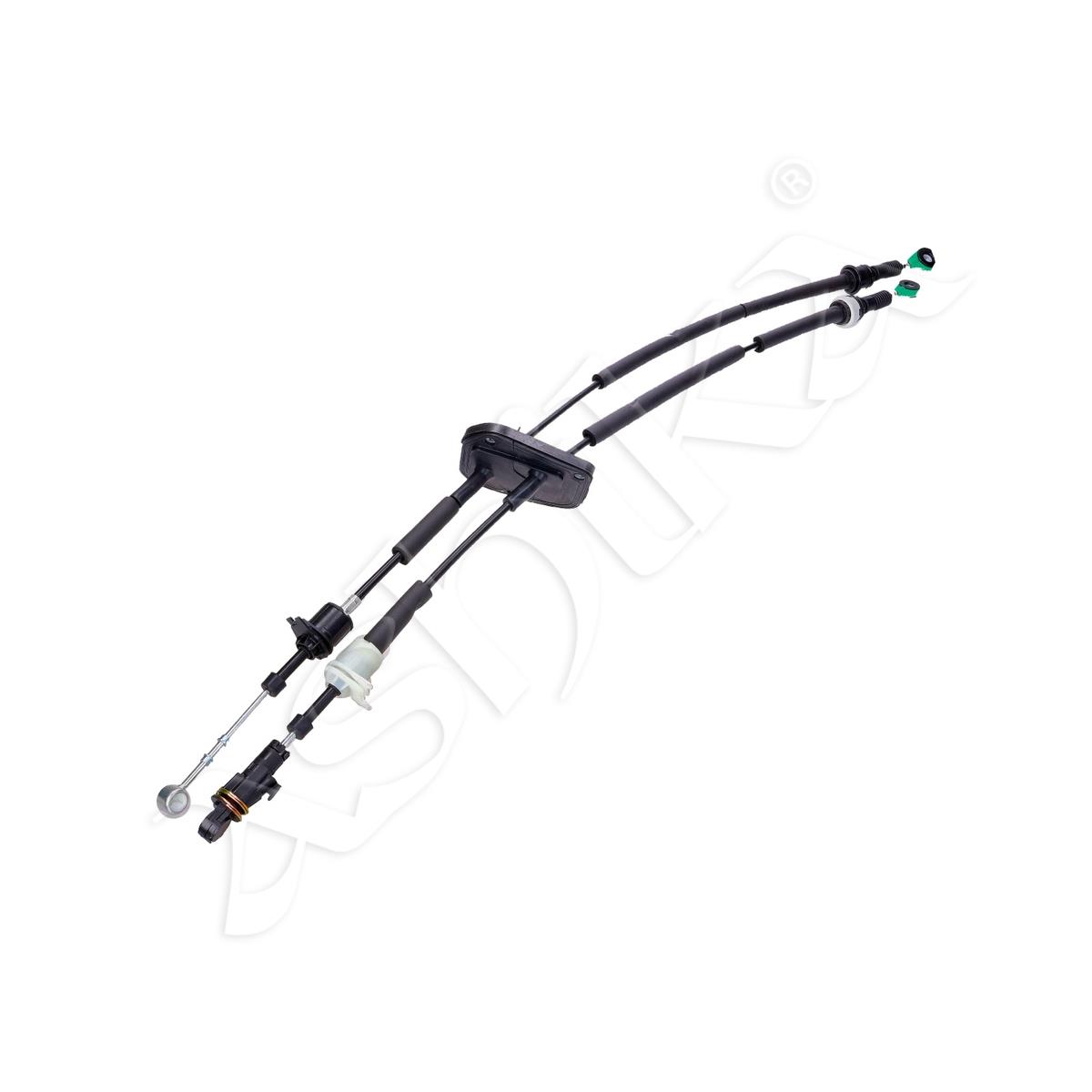 1787/BCV-02170_2.jpg